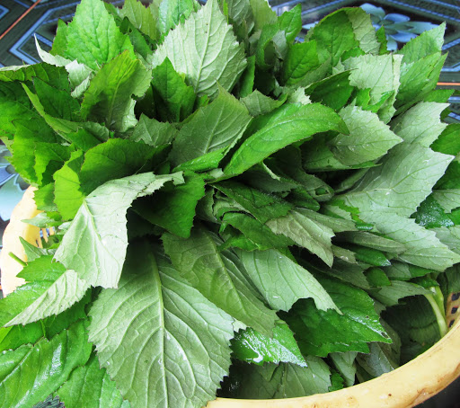 Cây Cải Trời khô 1kg GT077