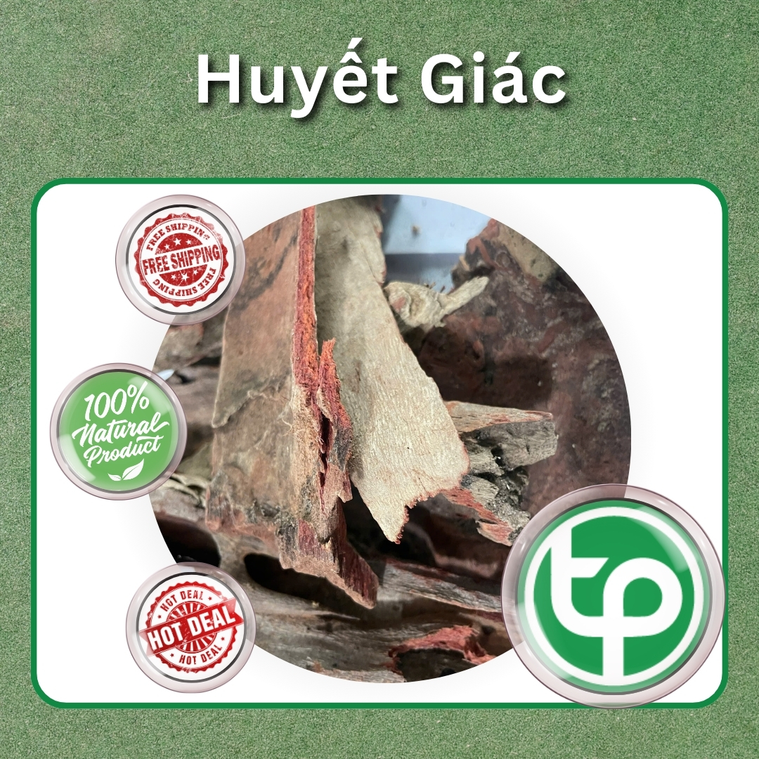 Huyết giác sấy khô 1kg - Thảo Dược Tấn Phát - Hỗ trợ cải thiện sức khoẻ cực kỳ hiệu quả