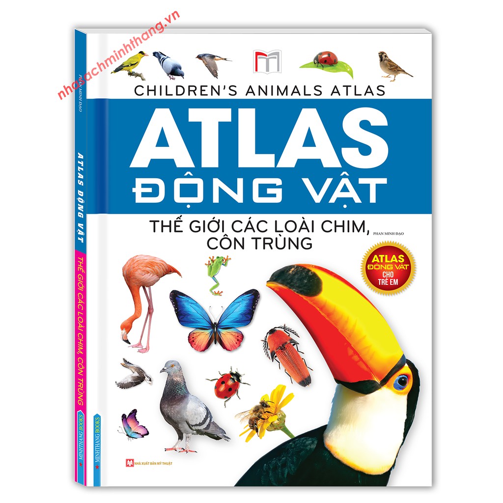 Sách - atlas động vật - thế giới các loài chim, côn trùng