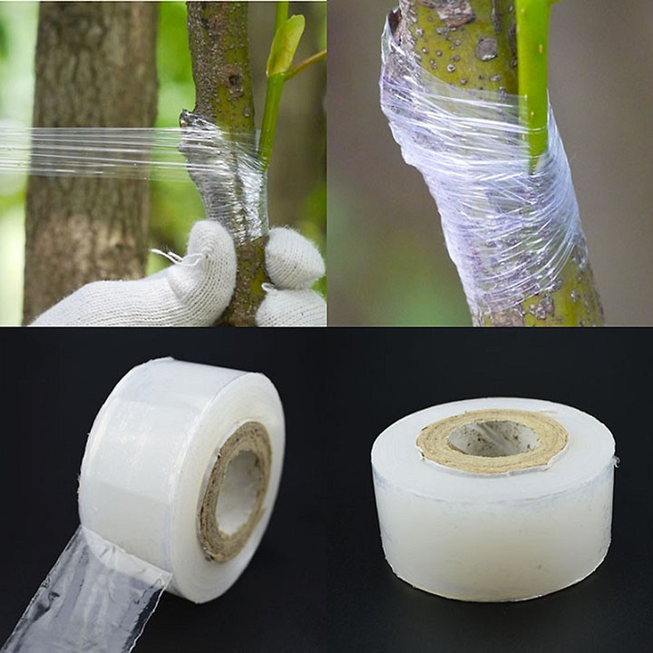 Băng keo ghép cành cây tự hủy
