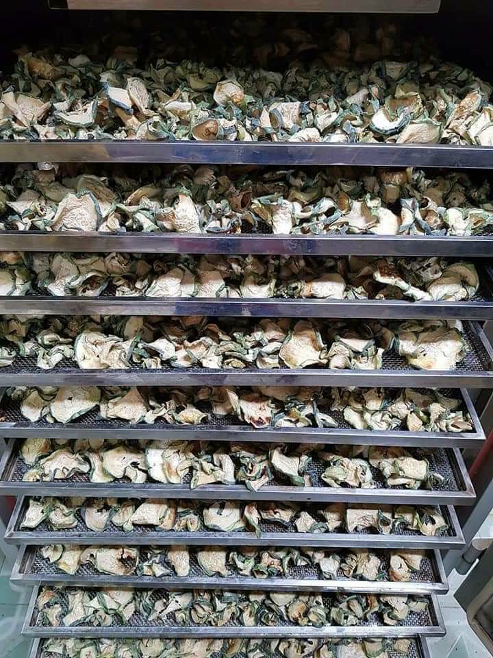 500gr Bí đao sấy khô Kon Tum