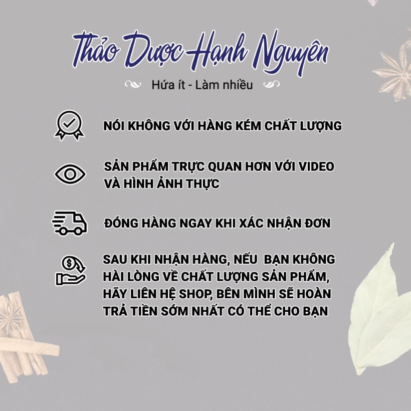 Trạch Tả Khô Chất Lượng 100g Giúp Thanh Nhiệt Giải Độc, Giảm Mỡ Gan