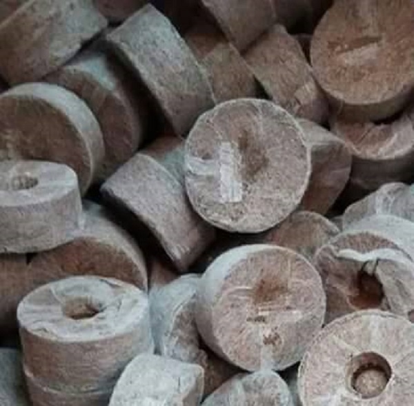 [Combo 50 viên] Viên Nén Xơ Dừa Ươm Hạt, Kích Thích Nảy Mầm, Tăng Tỷ Lệ Nảy Mầm - Nông Sản Vàng