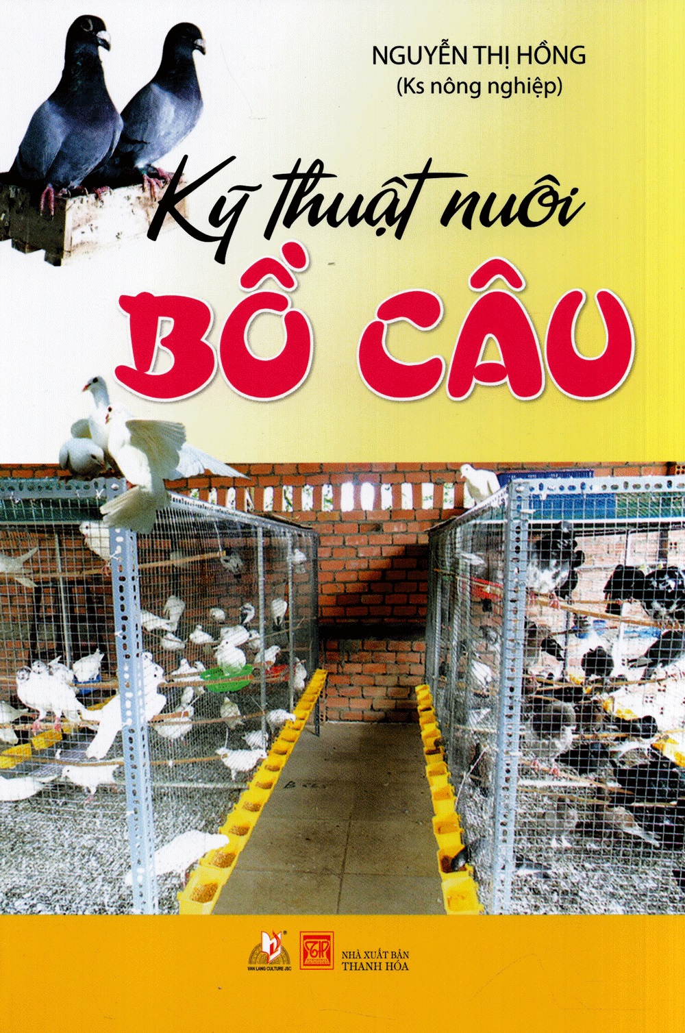Kỹ thuật nuôi bồ câu