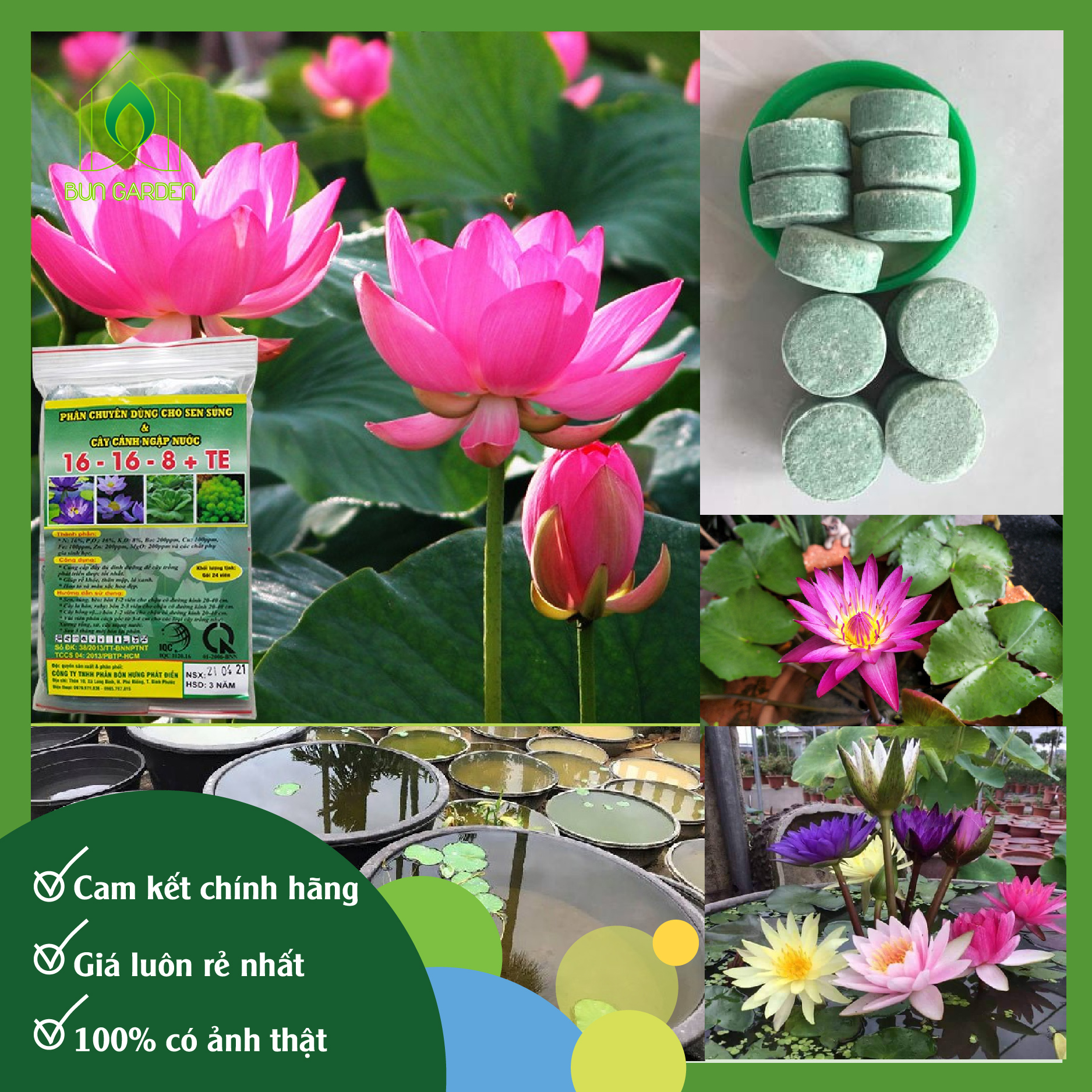 Phân bón chuyên dùng cho cây ngập nước, sen súng 16-16-8+TE