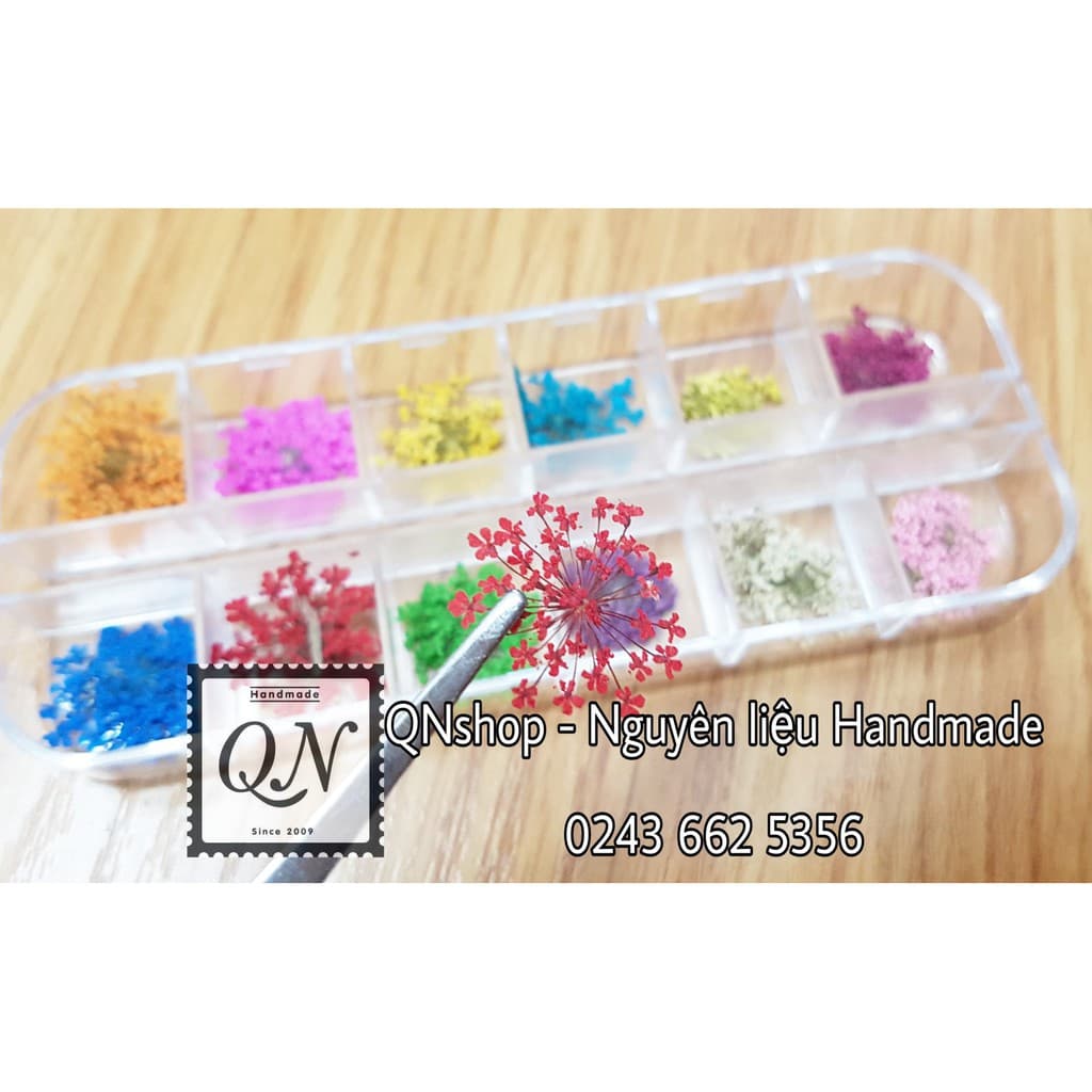 Hoa khô trang trí resin, móng tay,...