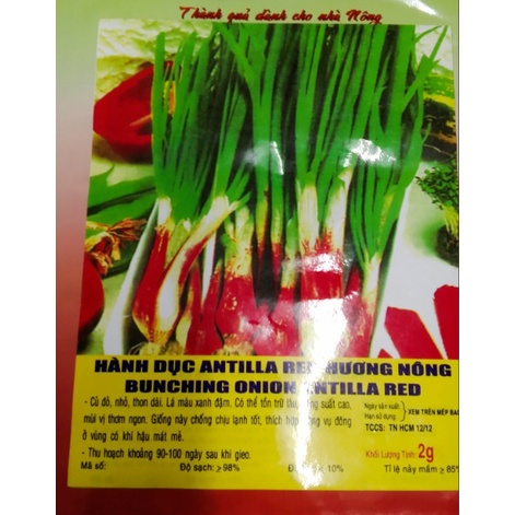 Hạt giống hành lá gốc tím - gói 2 gram