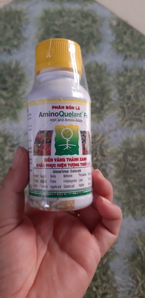 Phân bón bổ sung sắt Amino Fe chai 100ml