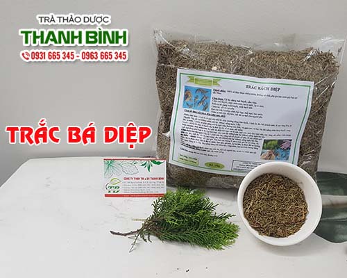 Trắc bá diệp 100g - hàng công ty giá tốt