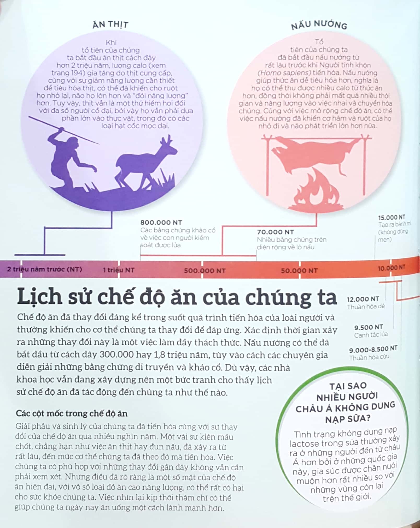 Sách Fahasa - How Food Works - Hiểu Hết Về Thức Ăn