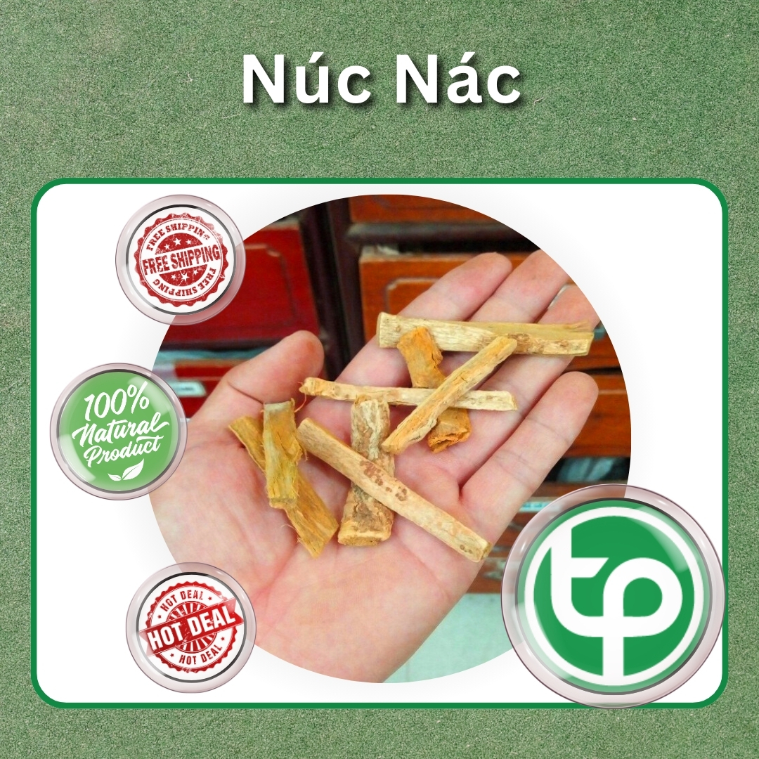 [Hàng mới về] Cây núc nác (hoàng bá nam) sấy khô Tấn Phát 1kg