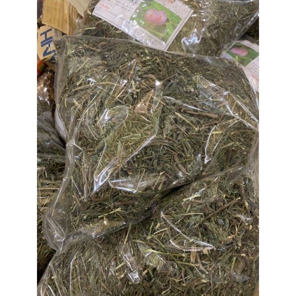 Cây xấu hổ khô