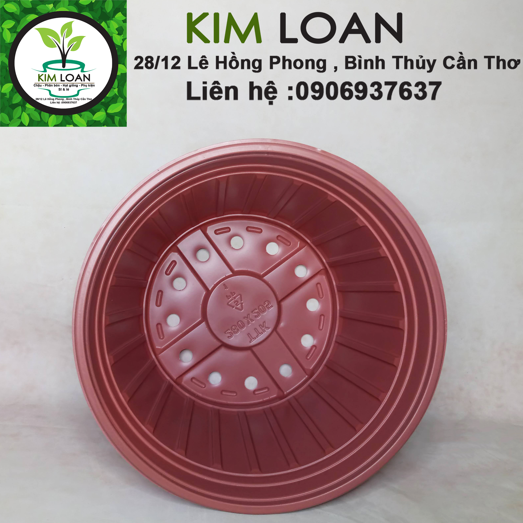 Combo 20 chậu nhựa vành cứng TTK C8 28x21cm