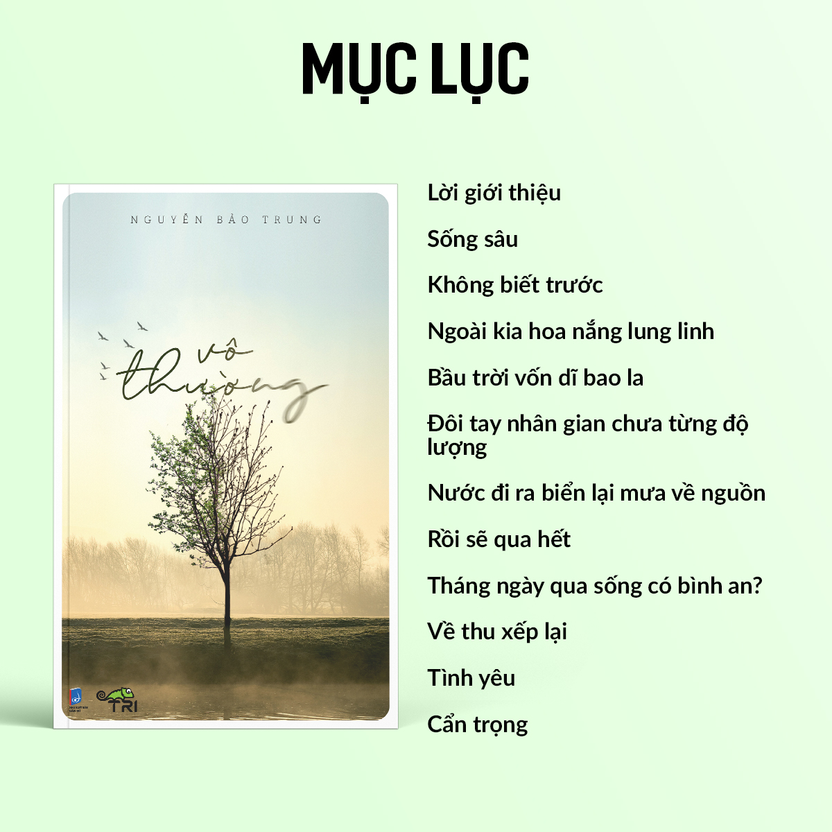 Sách - Vô Thường (Nguyễn Bảo Trung) - Tuệ Tri