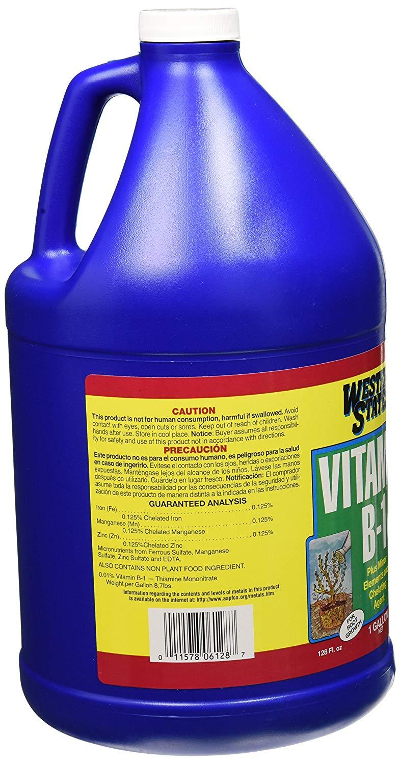 Vitamin B1 1 gallon (3.78 lít hàng nhập khẩu)