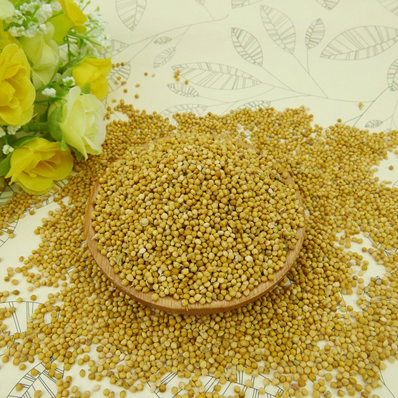 Hạt kê nếp vàng, hạt to đã tách vỏ [1KG] - DB117