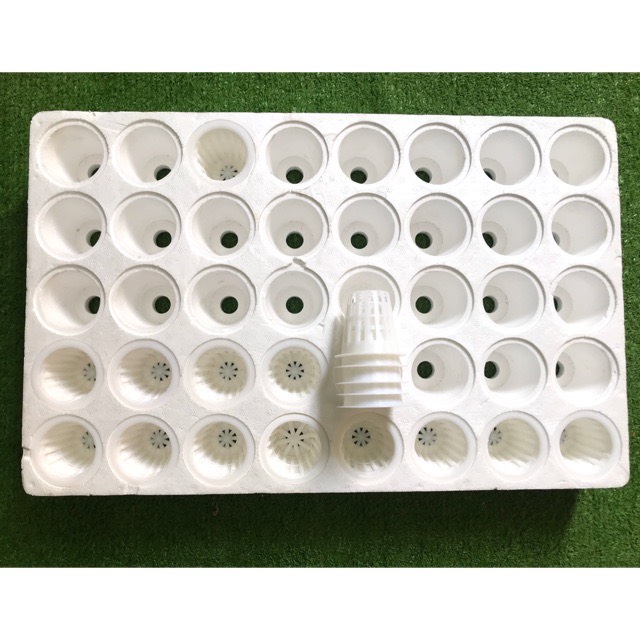Khay xốp ươm thủy canh 40 lỗ