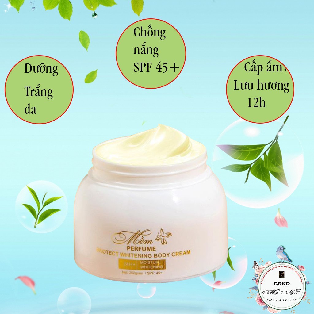 [New Model 2025] Genuine Acosmetics Phuong Anh Perfume Soft Body