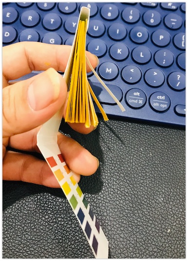 Tệp Giấy Quỳ Tím Đo Độ Ph Từ 1-14 ( 80 Tờ)