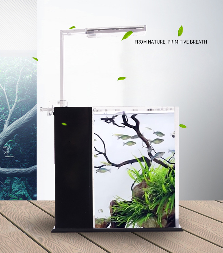 Bể cá mini để bàn Bể thủy sinh mini để bàn 07