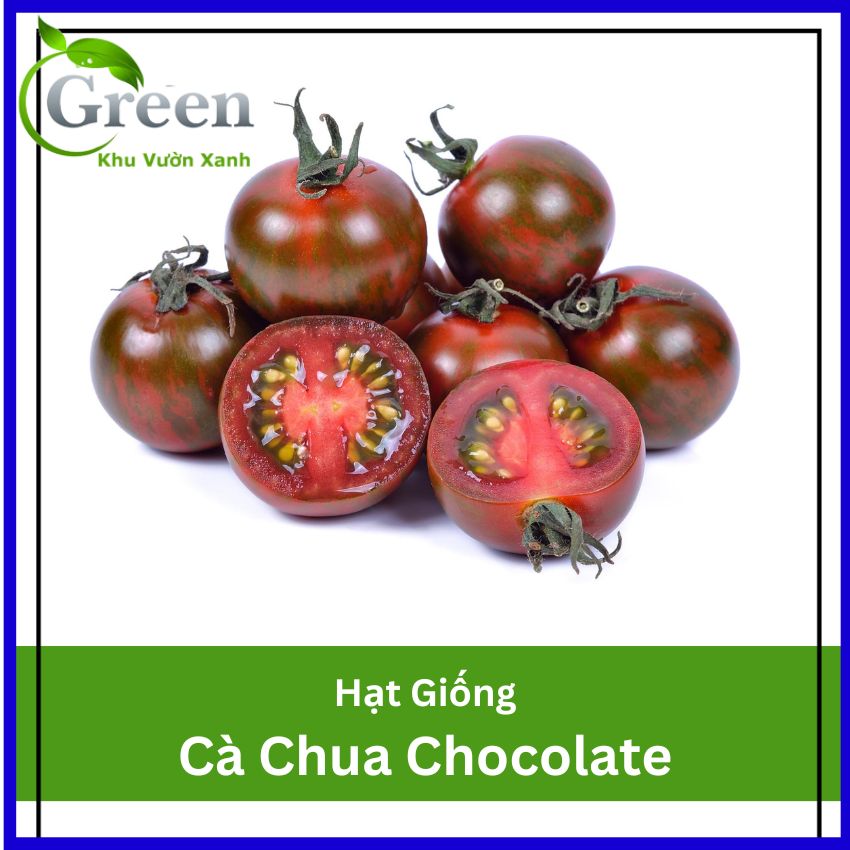 Hạt Giống Cà Chua Chocolate (5H)