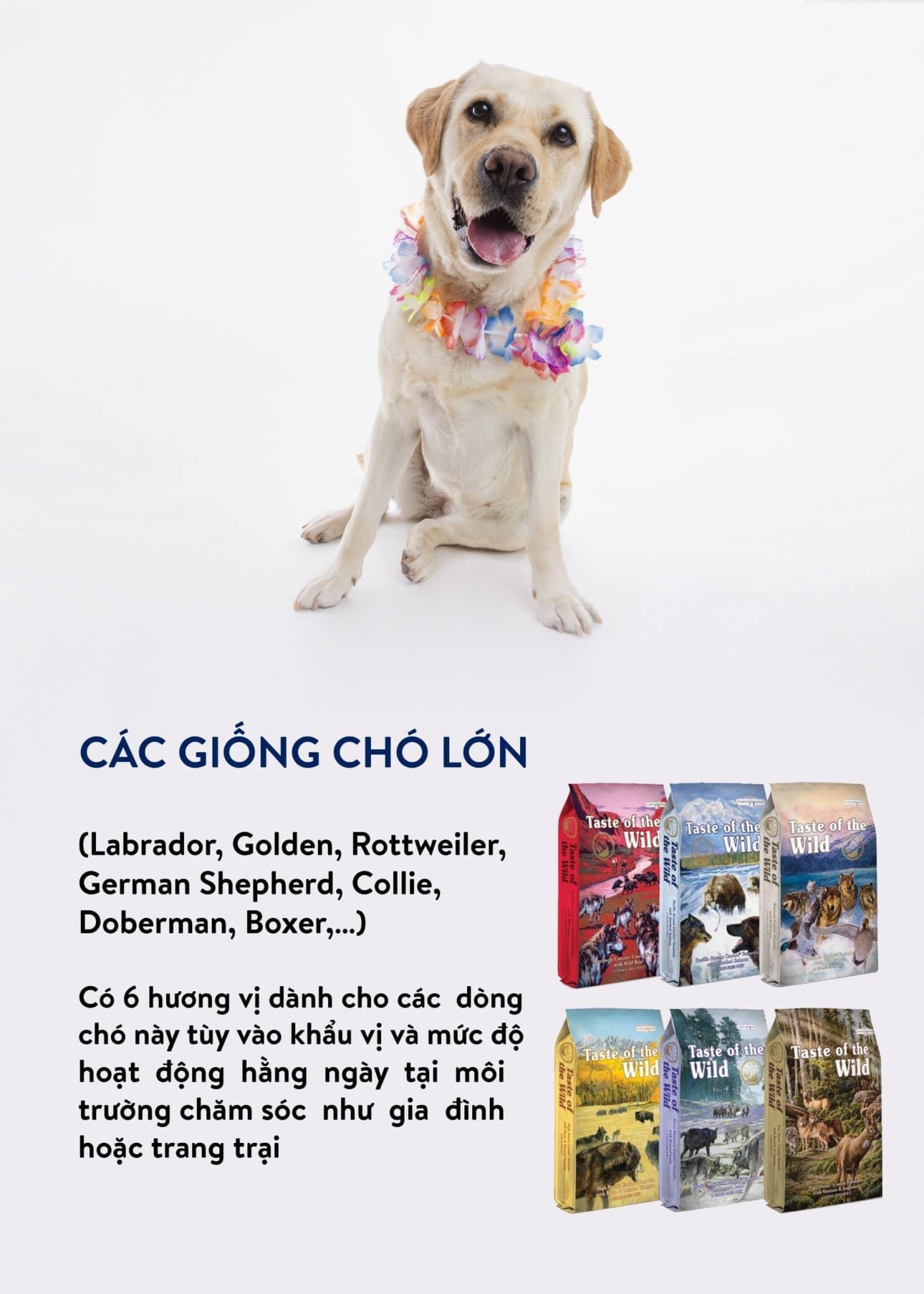 Hạt chó TASTE OF THE WILD (bao nguyên seal 2kg)