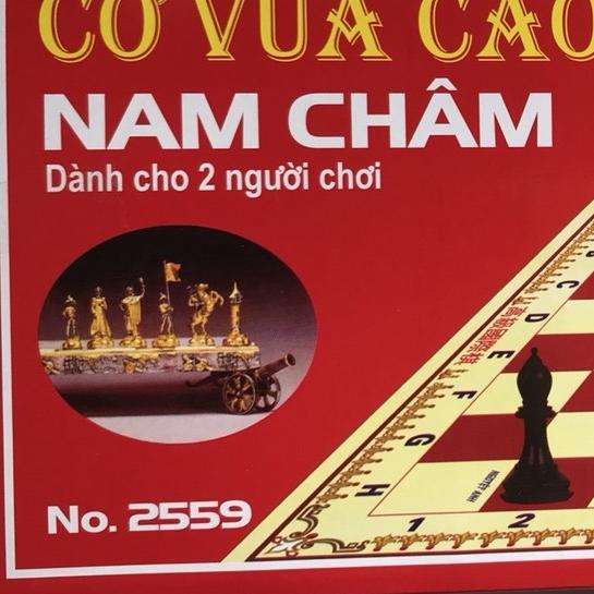 cờ vua nam châm 36×36cm mã 2559
