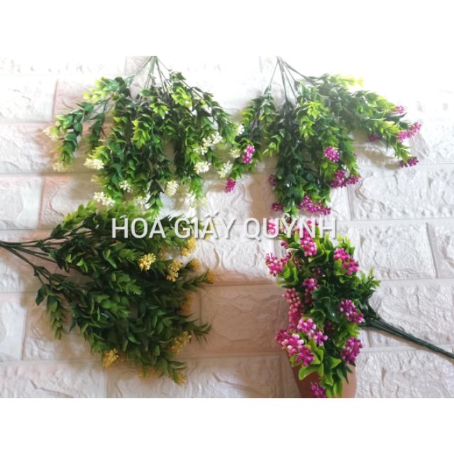 Cành điểm hạt ngâu