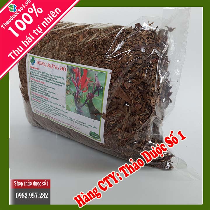 Cây dong riềng đỏ - 1KG Cao Cấp
