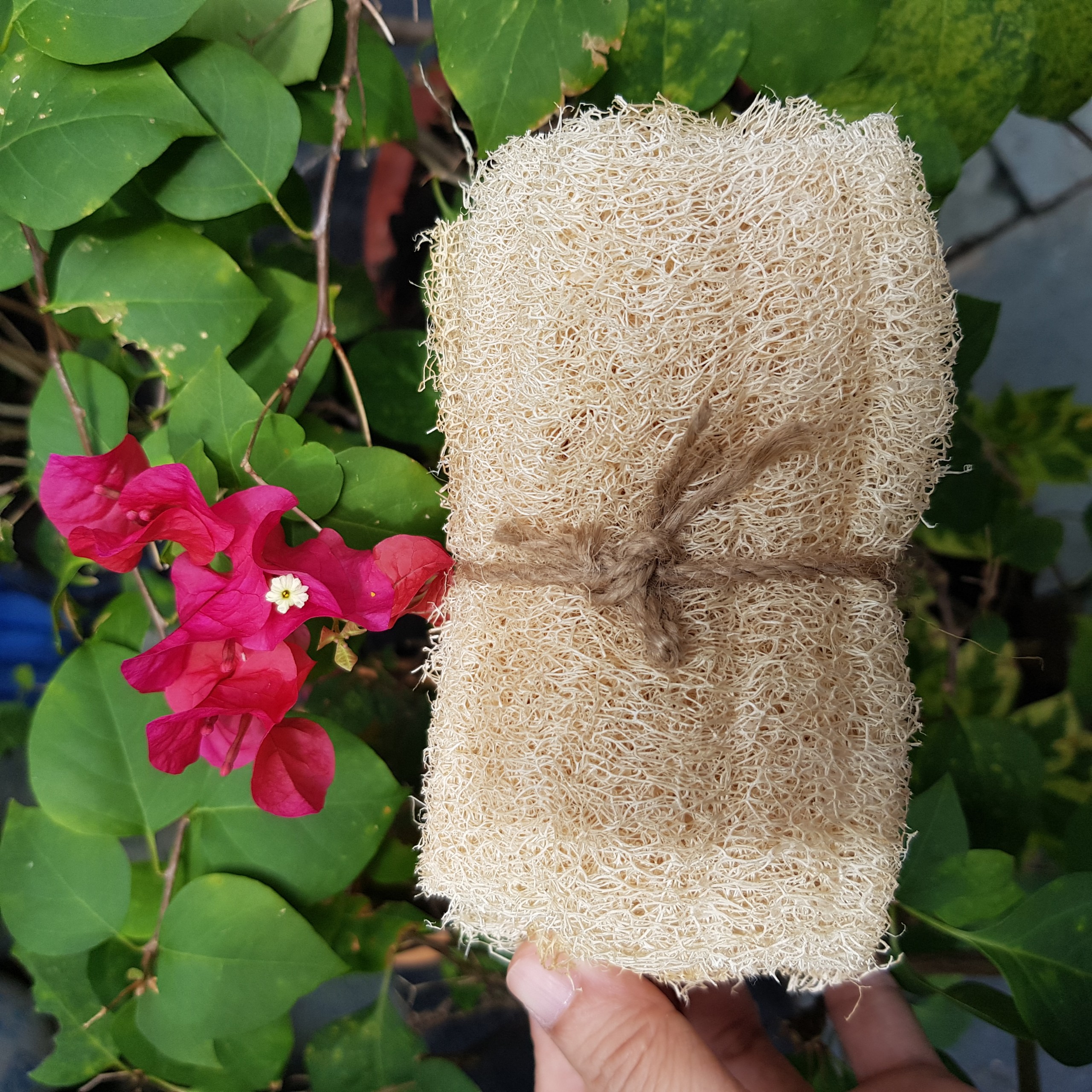 Combo 3 miếng xơ mướp 10-11cm ép tấm dùng rửa chén