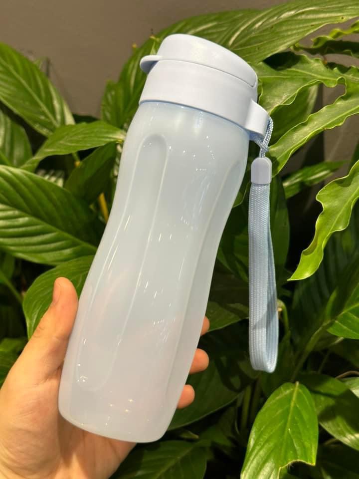 Bình nước ECO BOTTLE GEN II 500ml