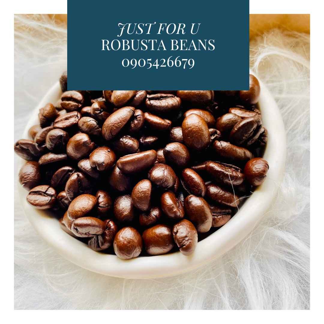 Cà phê hạt Robusta rang mộc nguyên chất