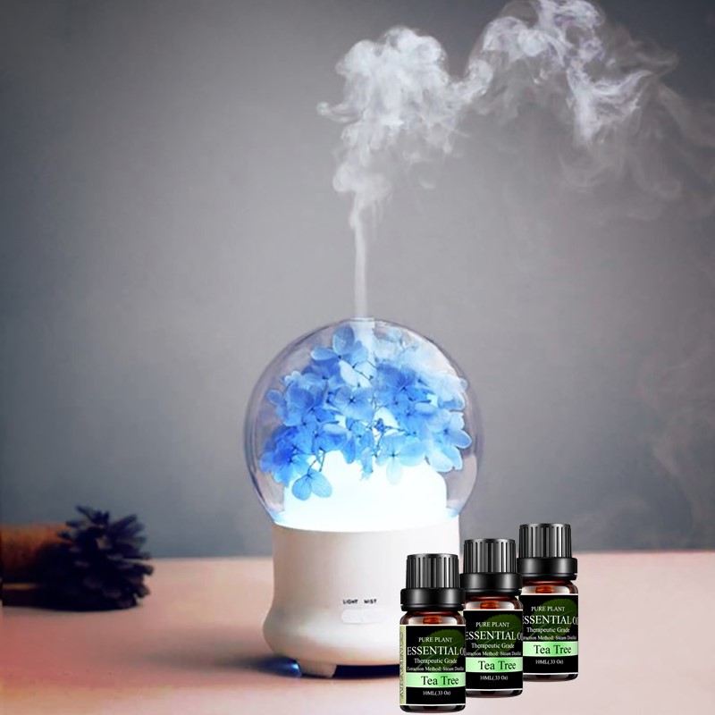 Tinh dầu Tràm Trà điều trị vết thương trị cảm cúm giảm đau nhức cơ thể mệt mỏi.