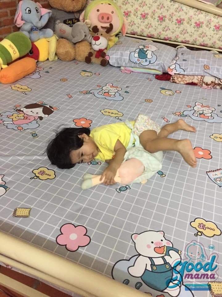 GA CHỐNG THẤM CAO CẤP GOODMAMA (ko vỏ gối)