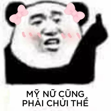 100 Những hình ảnh Meme gấu trúc bựa Trung Quốc hài hước nhất
