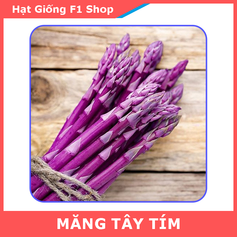 Hạt Giống Măng Tây Tím Ăn Ngon