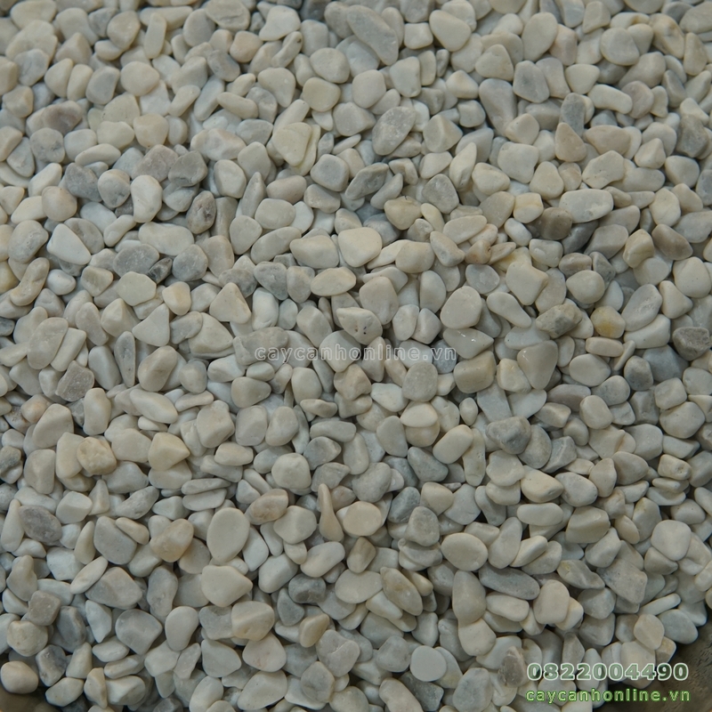 1kg sỏi trang trí tiểu cảnh trải mặt chậu cây cảnh để bàn