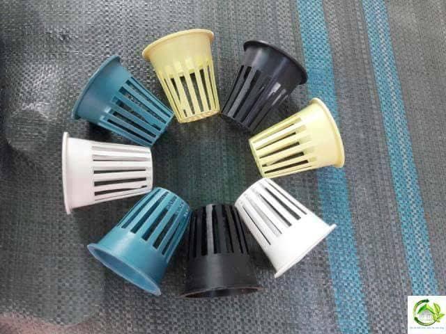 combo 200 chiếc rọ thủy canh 65