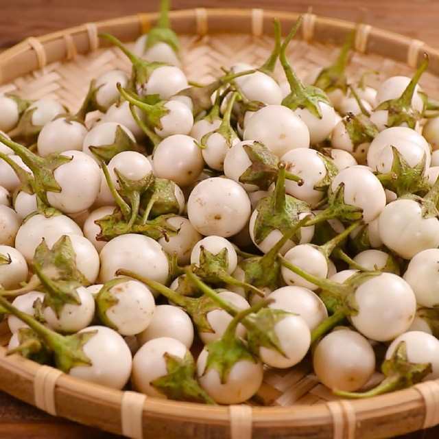 Hạt giống cà pháo trắng giòn ngọt