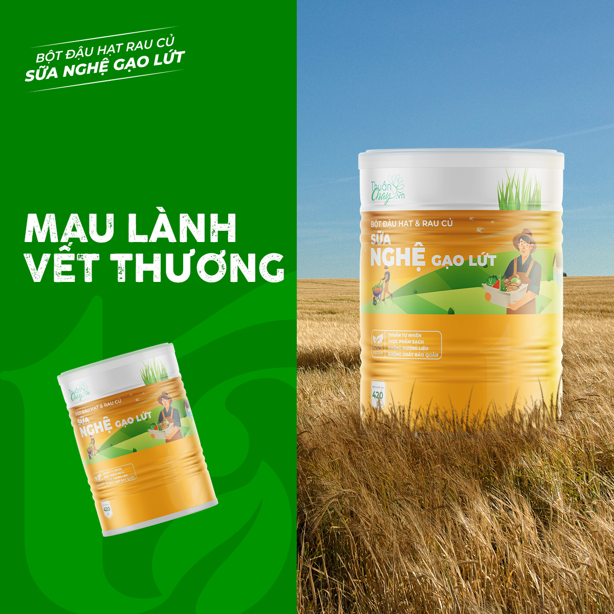 BỘT ĐẬU HẠT RAU CỦ NGHỆ GẠO LỨT - 420g