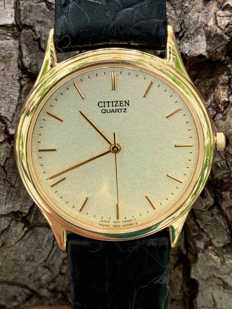 Đồng hồ Unisex Citizen Pin (Quartz) bọc vàng toàn thân, dây da màu đen  - Nhật