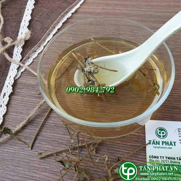 [HOT] Cà gai leo sấy khô 500g - tấn phát - Hỗ trợ thanh nhiệt giải độc và làm mát gan - Hàng công ty mới về hàng