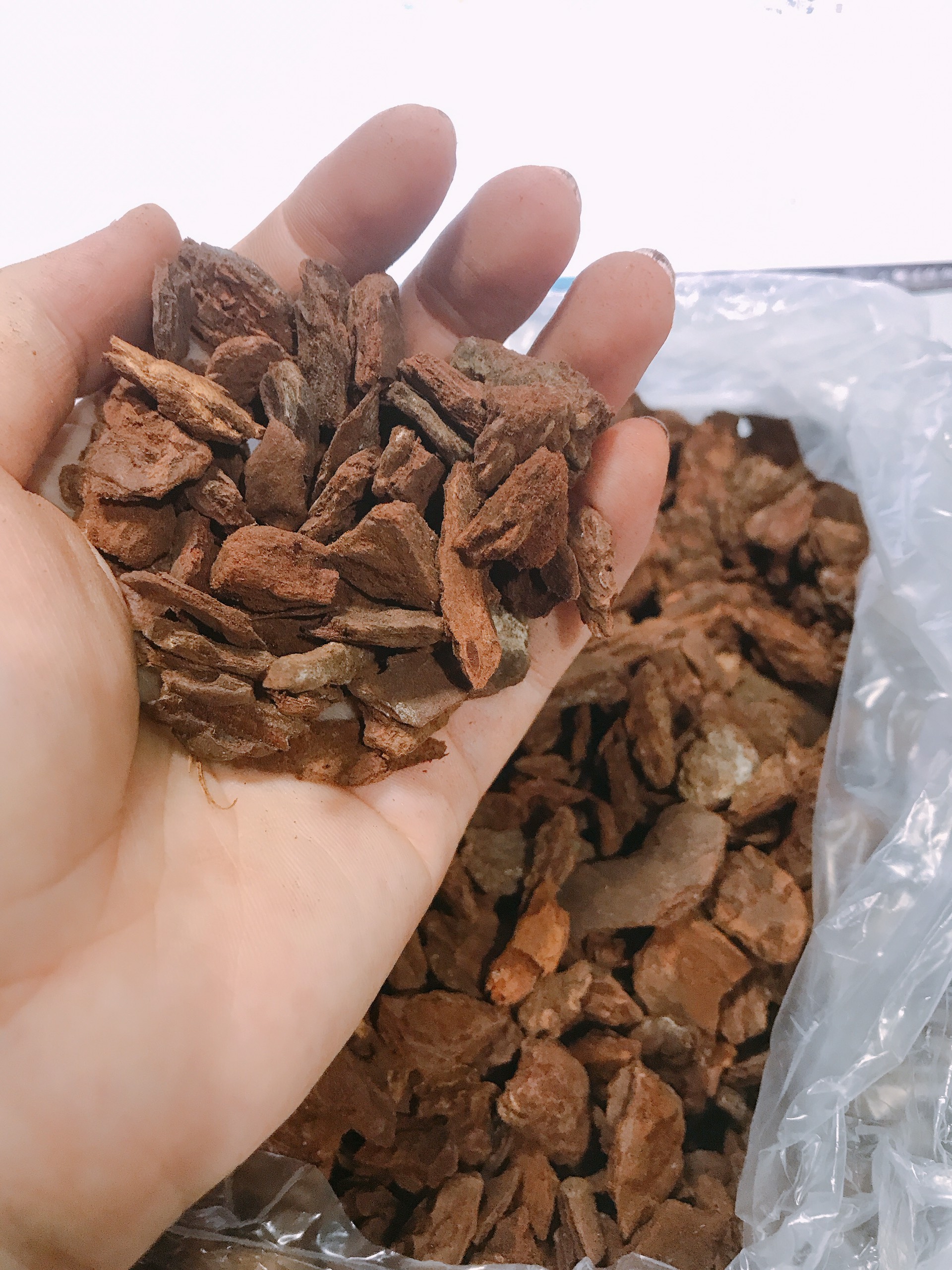 Vỏ thông trồng lan đã xử lý, size 1,2cm