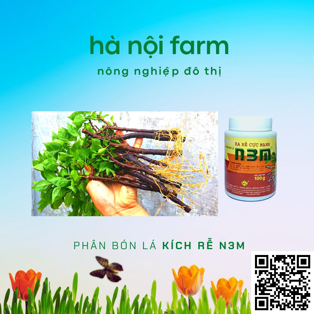 N3M kích ra rễ, N3M bột 100g