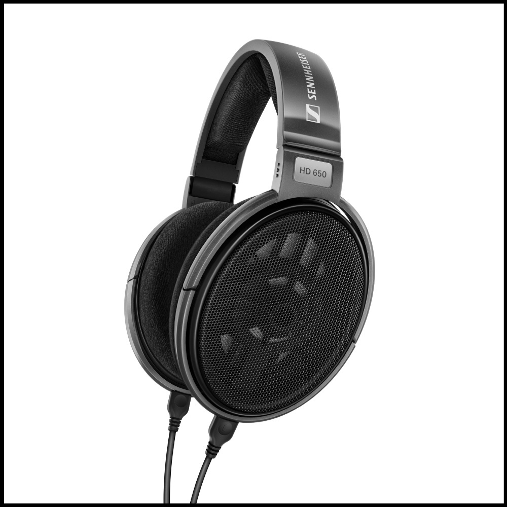 SENNHEISER HD 650 Audiophile Headphones