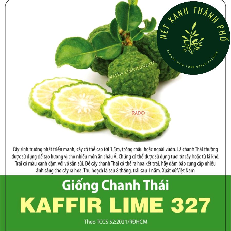[GIAO HÀNG 2 GIỜ] Hạt giống Chanh Thái, Kaffir lime, chanh chúc, 10 hạt