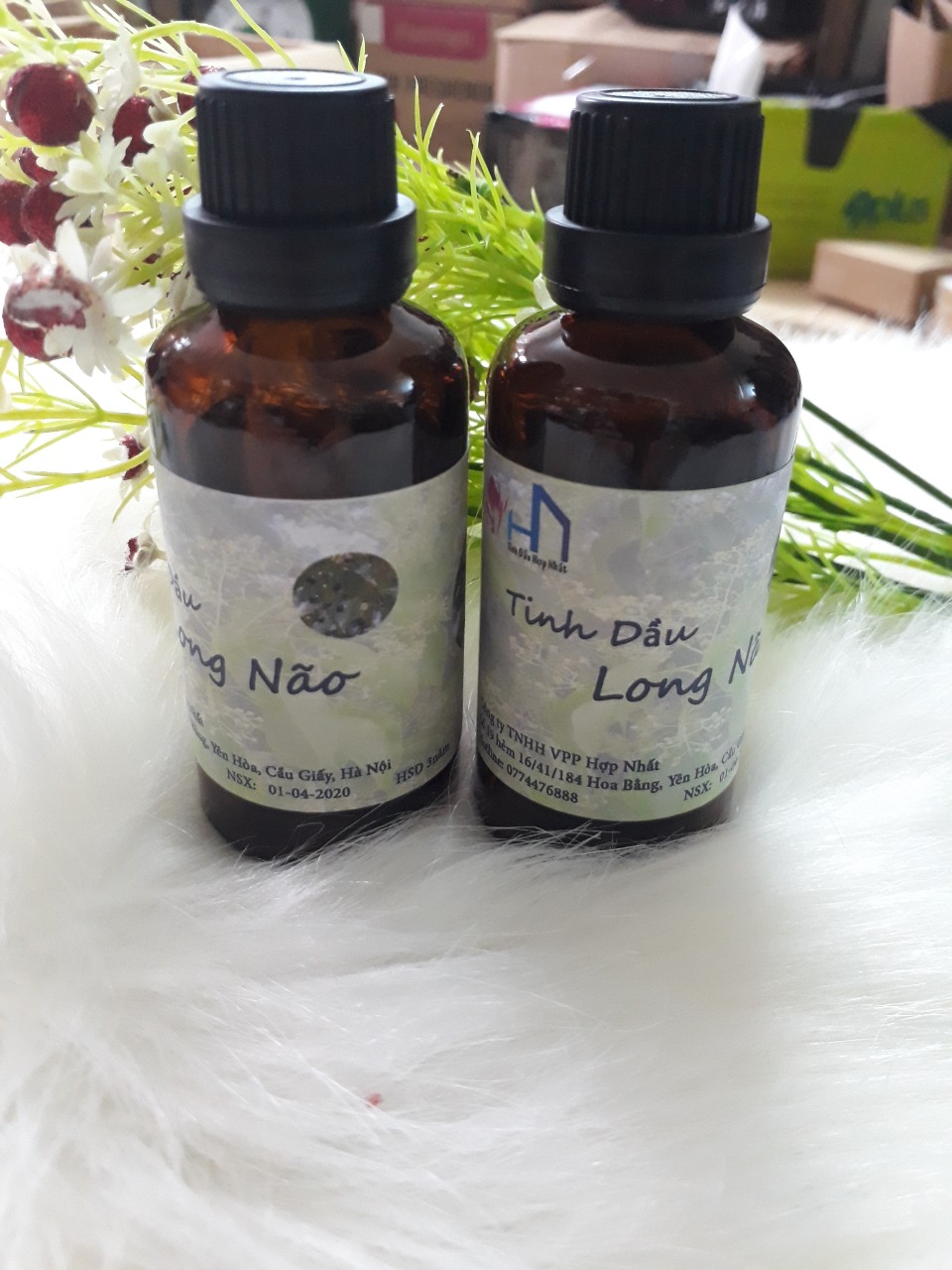 Tinh dầu Long Não nguyên chất Lọ 50ml