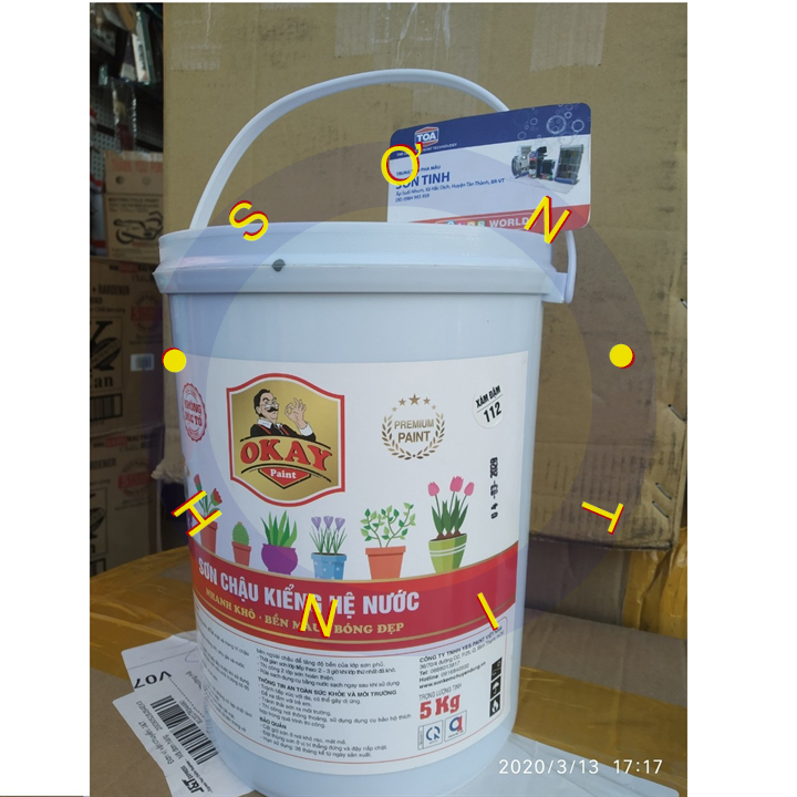 Sơn chậu Kiềng, cảnh Okay hệ nước NGOÀI TRỜI 5kg