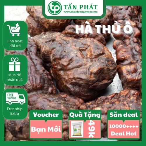 [HOT] Hà thủ ô đỏ (đã chế) 1kg - Thảo Dược Tấn Phát - Hàng sạch cao cấp đã qua sơ chế