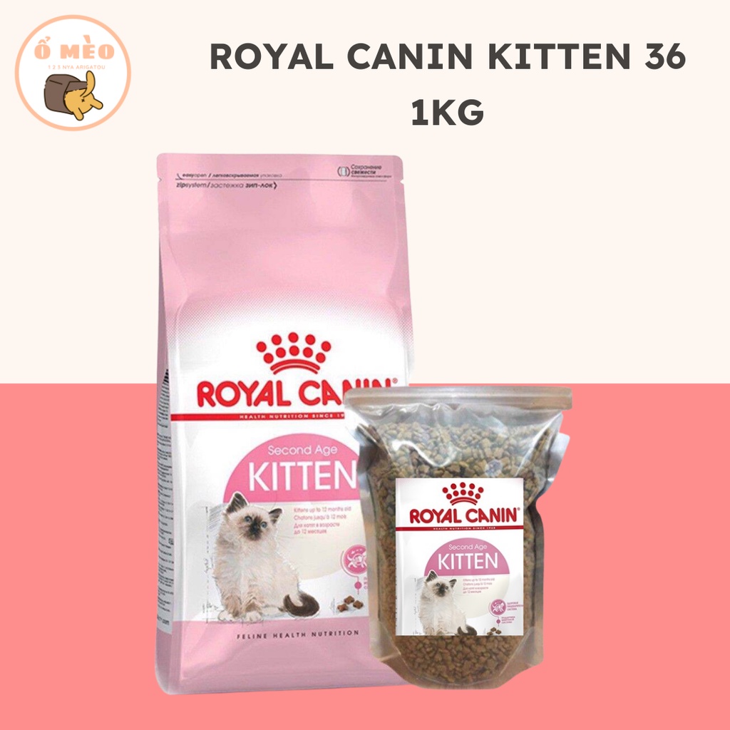 Thức Ăn Cho Mèo Royal Canin Kitten 36 (1kg)
